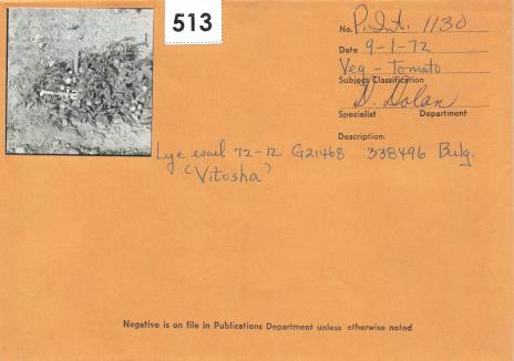 Click for 1 image(s) for this accession. Field